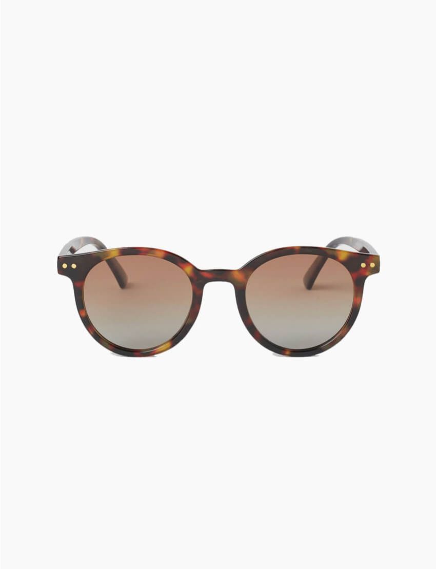 Polarised Sunglasses